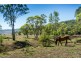 Bernard Road, Nobby QLD 4360