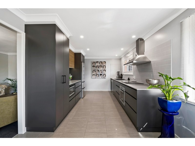 59 Leichhardt Street, Centenary Heights QLD 4350