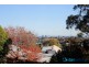 6 Hamilton Street, Rozelle NSW 2039