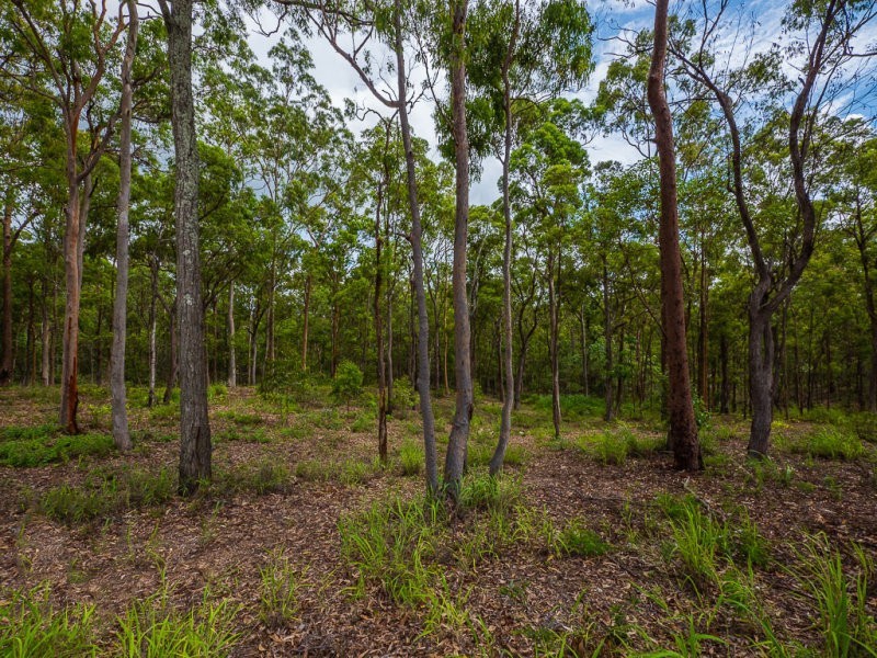 26,27,28,29,30 Eveleigh Street, Arana Hills QLD 4054