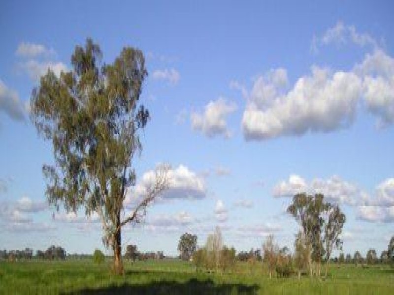 - Hawkers Rd, Waaia VIC 3637