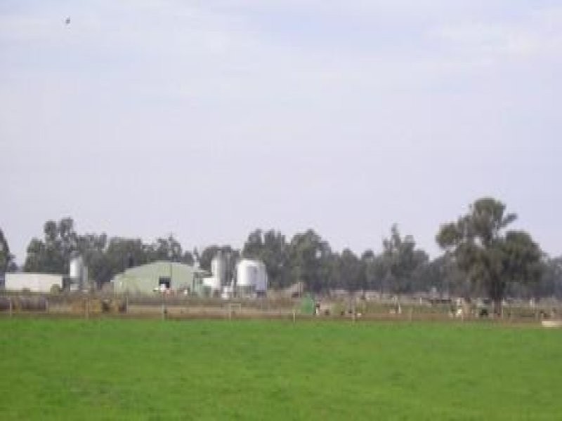 - Perricoota Rd, Moama NSW 2731