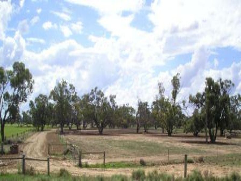 - Perricoota Rd, Moama NSW 2731