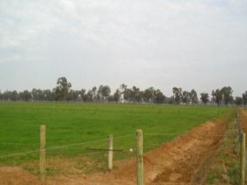 - Perricoota Rd, Moama NSW 2731