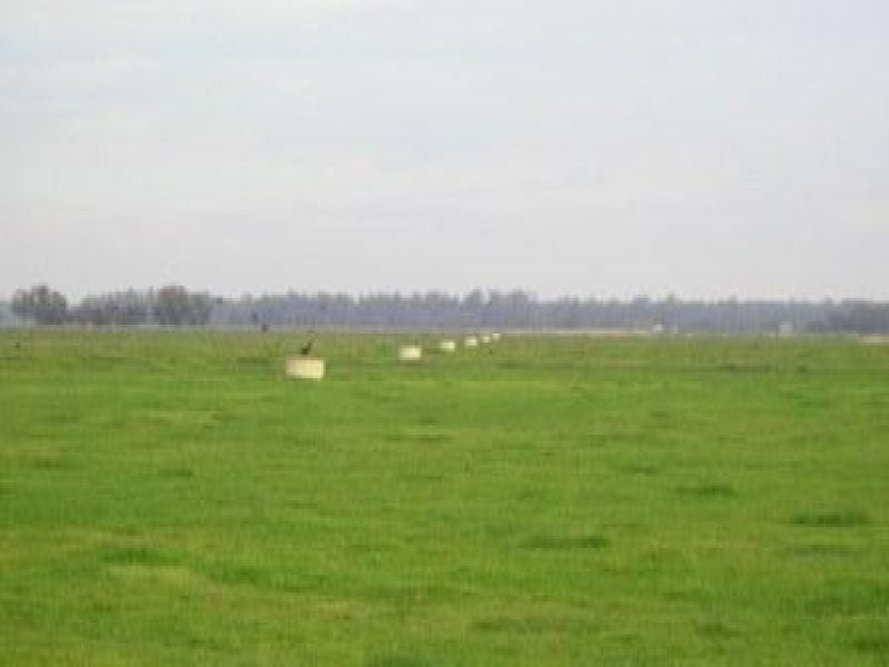 - Perricoota Rd, Moama NSW 2731