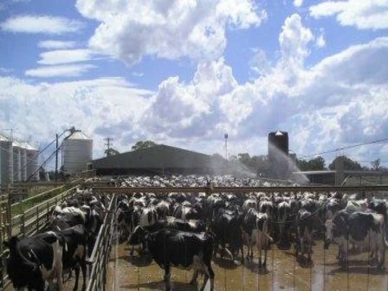 - Perricoota Rd, Moama NSW 2731