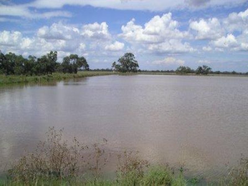 - Perricoota Rd, Moama NSW 2731
