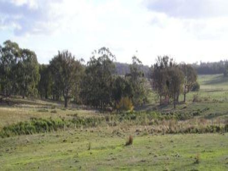 - Longwood Ruffy Rd, Ruffy VIC 3666