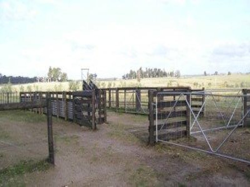 - Longwood Ruffy Rd, Ruffy VIC 3666