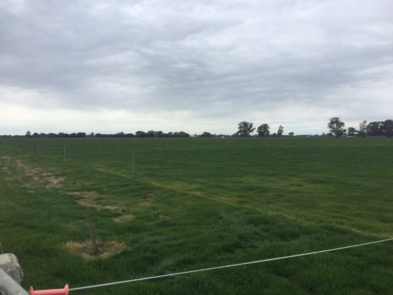 1589 Middleton Road, Lockington VIC 3563