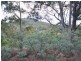 Pelham Road, Pelham TAS 7030