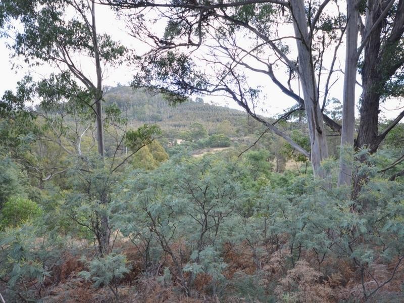Pelham Road, Pelham TAS 7030