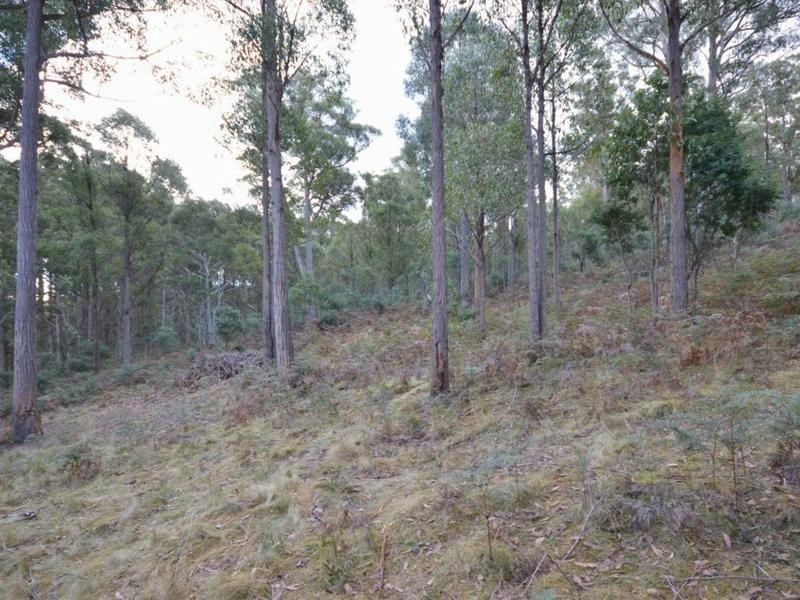 Pelham Road, Pelham TAS 7030
