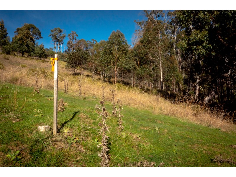 Lot 6 Horners Road, Elderslie TAS 7030