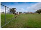 266 Tea Tree Road, Brighton TAS 7030