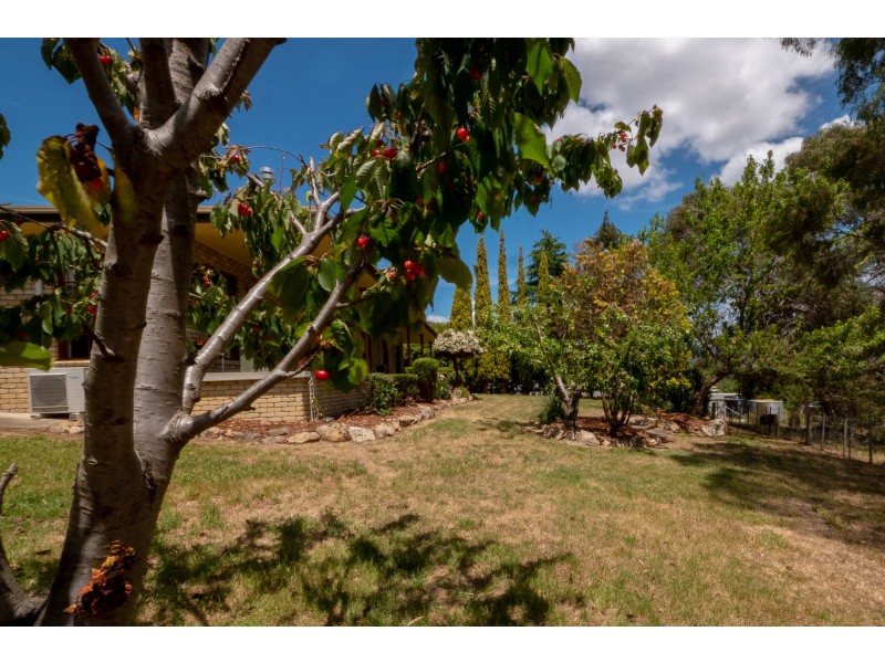 620 Back River Road, Magra TAS 7140