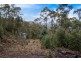 652 Mount Lloyd Road, Mount Lloyd TAS 7140