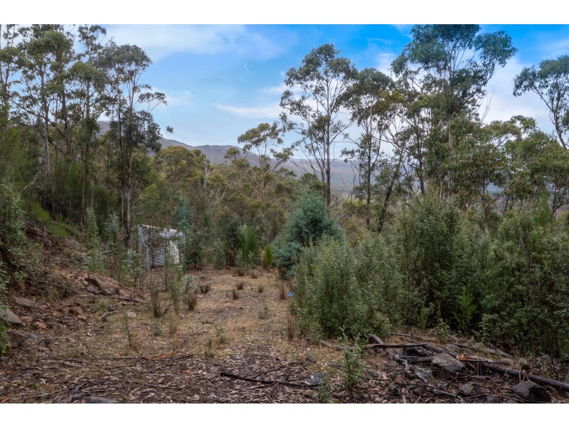 652 Mount Lloyd Road, Mount Lloyd TAS 7140