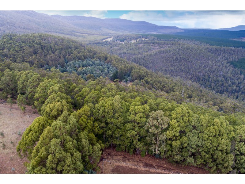 652 Mount Lloyd Road, Mount Lloyd TAS 7140