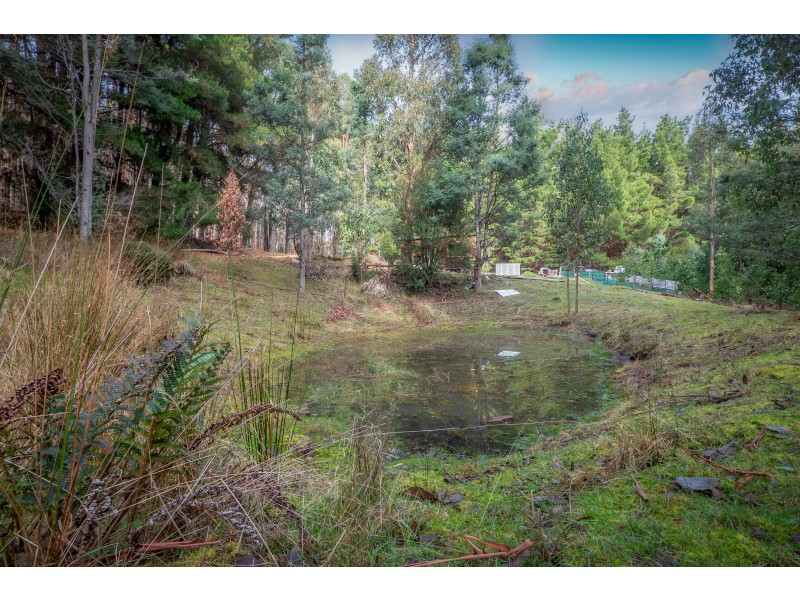 500 Jefferys Track, Lachlan TAS 7140