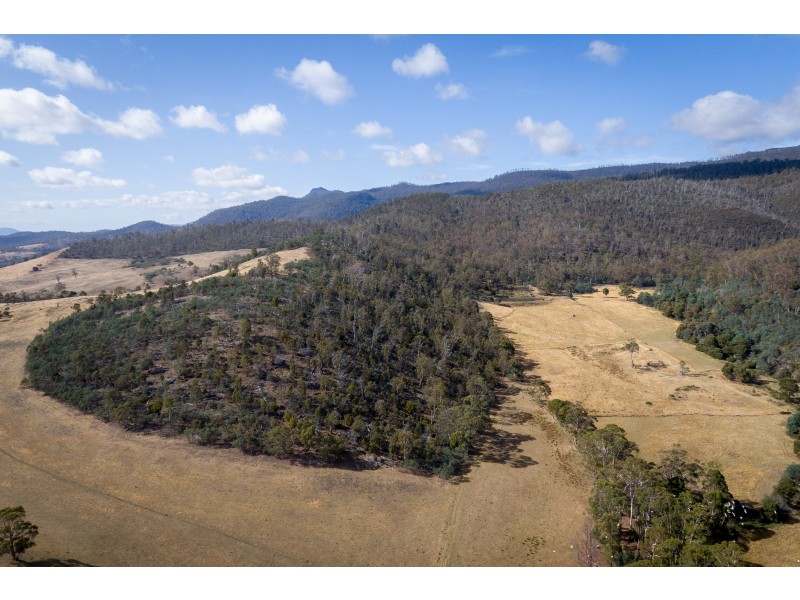 1 Elderslie Road, Broadmarsh TAS 7030