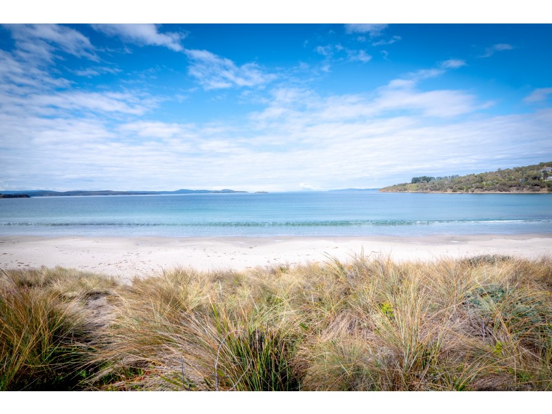 7 Grebe Street, Primrose Sands TAS 7173