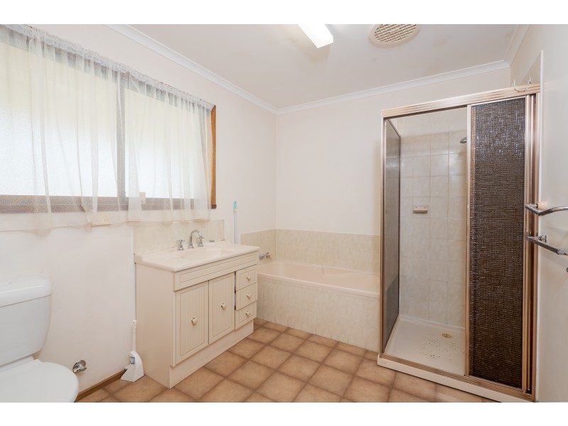 945 Collins Cap Road, Molesworth TAS 7140