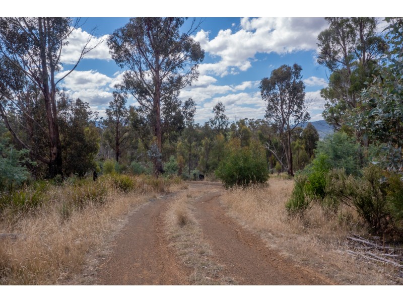 945 Collins Cap Road, Molesworth TAS 7140
