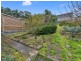 31 Wattle Avenue, Lutana TAS 7009