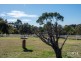 201 Acton Drive, Acton Park TAS 7170