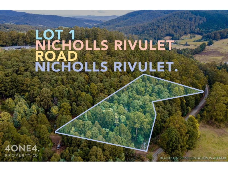 1 Nicholls Rivulet Road, Nicholls Rivulet TAS 7112