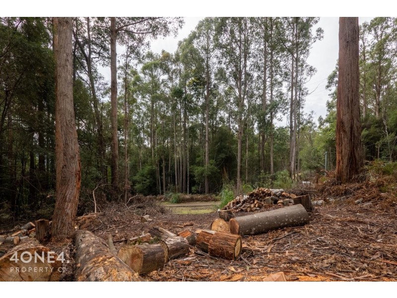 1 Nicholls Rivulet Road, Nicholls Rivulet TAS 7112