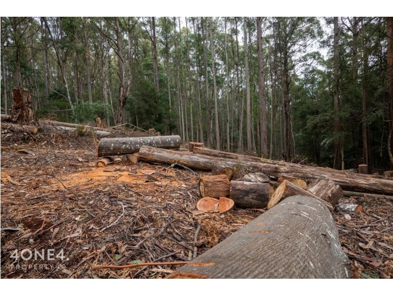 1 Nicholls Rivulet Road, Nicholls Rivulet TAS 7112