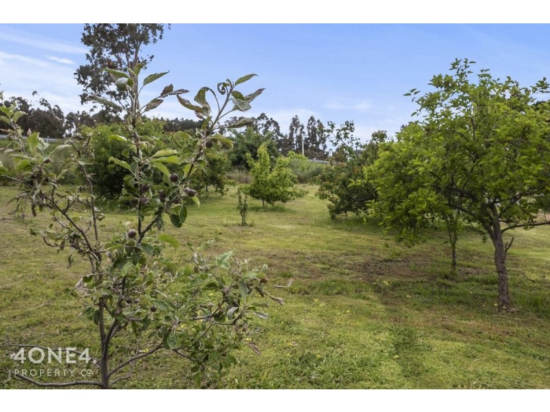 62 Swan Street, Bagdad TAS 7030