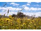 1254 Gordon River Road, Westerway TAS 7140