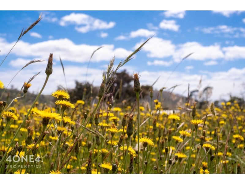 1254 Gordon River Road, Westerway TAS 7140
