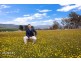 1254 Gordon River Road, Westerway TAS 7140