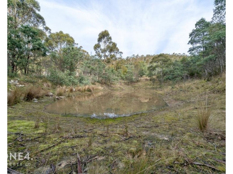 39 Cranes Road, Dromedary TAS 7030