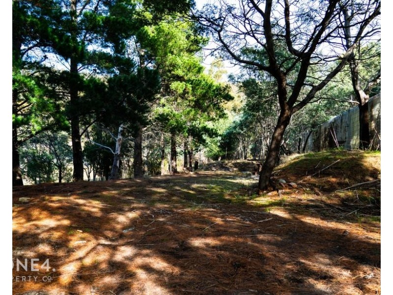 39 Cranes Road, Dromedary TAS 7030