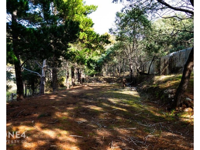39 Cranes Road, Dromedary TAS 7030