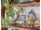 12 Walker Street, Rosetta TAS 7010