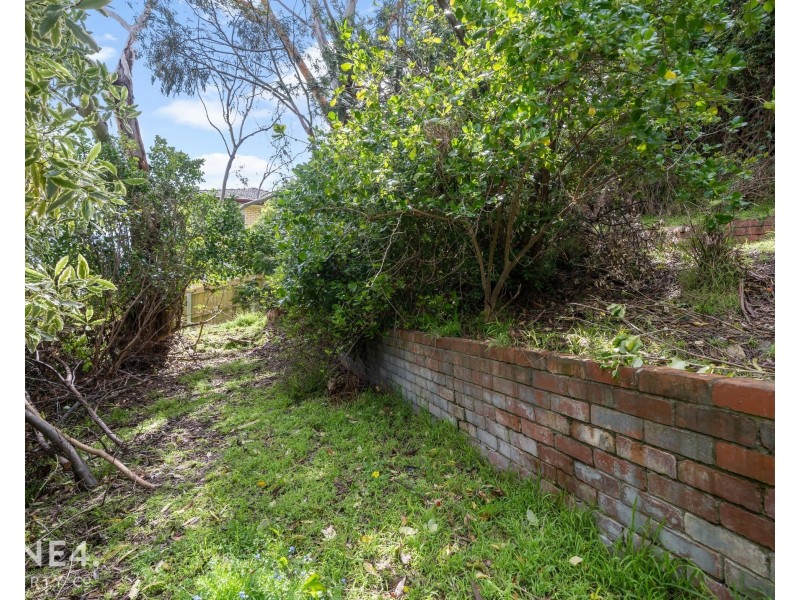 531 Churchill Avenue, Sandy Bay TAS 7005