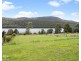 233 Bradys Lake Road, Bradys Lake TAS 7140