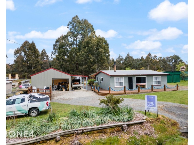 238 Bradys Lake Road, Bradys Lake TAS 7140