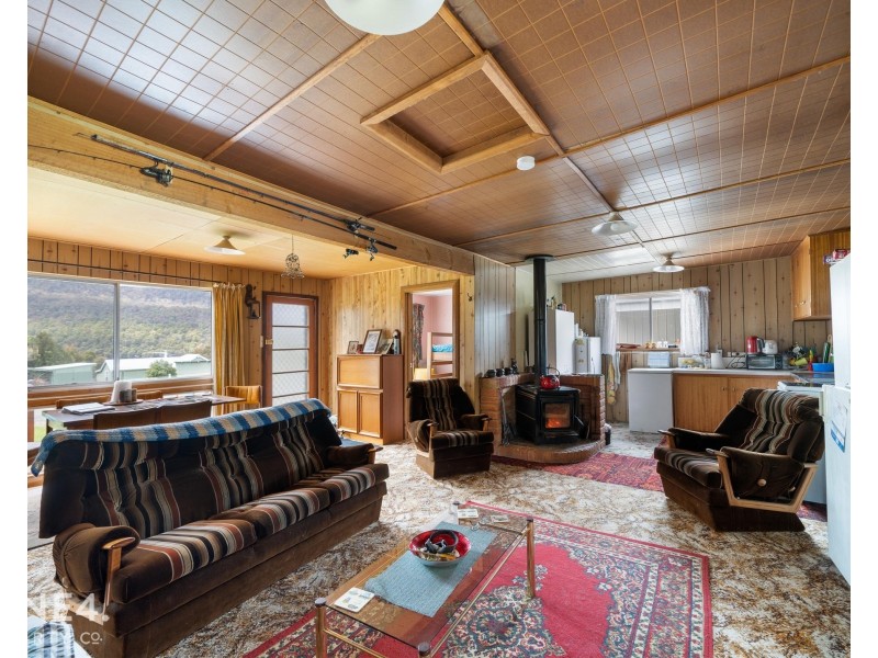 238 Bradys Lake Road, Bradys Lake TAS 7140