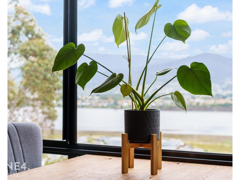 7 White Gum Place, Old Beach TAS 7017
