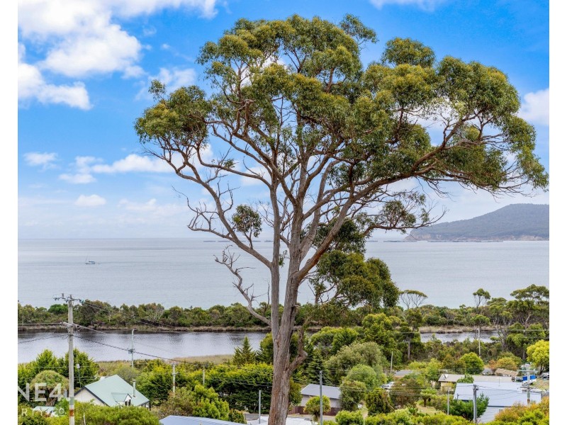 29 Lagoon Road, White Beach TAS 7184