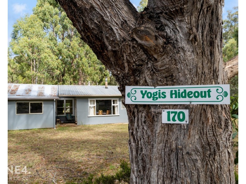 170 Bradys Lake Road, Bradys Lake TAS 7140