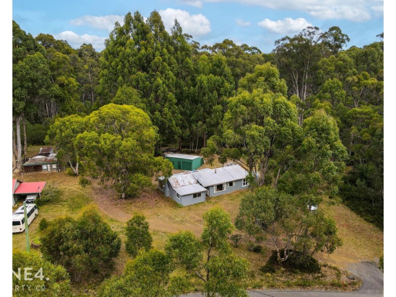170 Bradys Lake Road, Bradys Lake TAS 7140