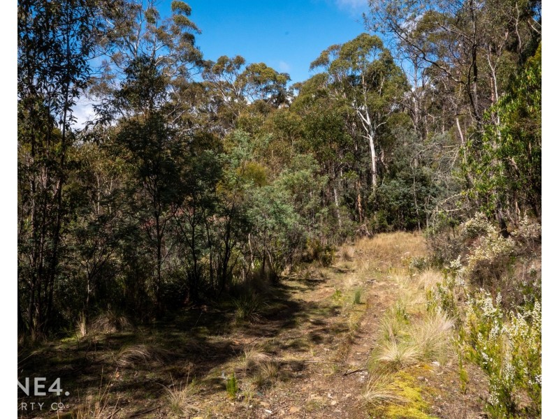 261 Moogara Road, Moogara TAS 7140